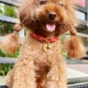 纯手工编织小型犬幼犬项圈 猫咪可调节颈链脖圈防丢失猫圈 可客制 details Picture